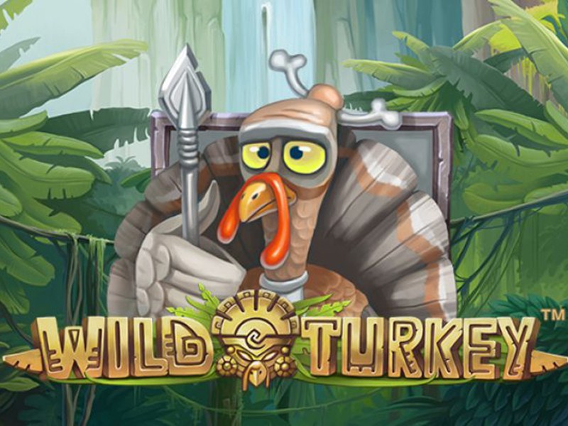 slot gratis wild turkey