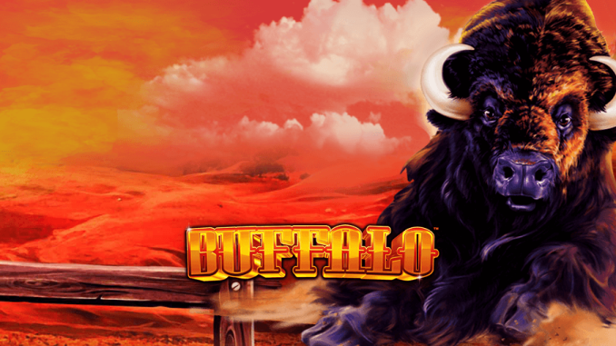 slot online Buffalo